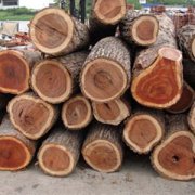 Southeast Aisa Logs Import