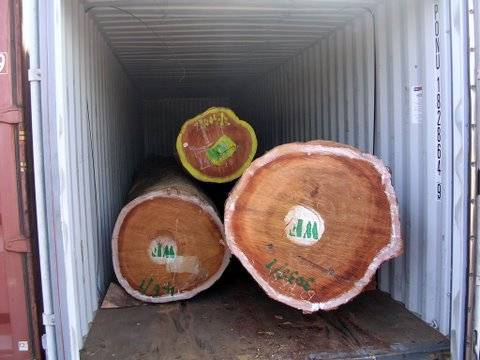东南亚原木进口代理
