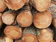 马来西亚木材进口报关代理