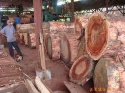 菲律宾原木进口代理