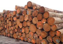 澳洲木材进口代理